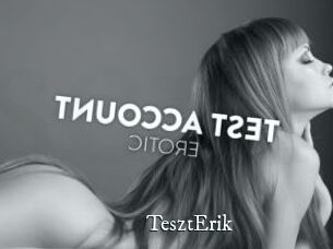 TesztErik