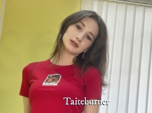 Taiteburner
