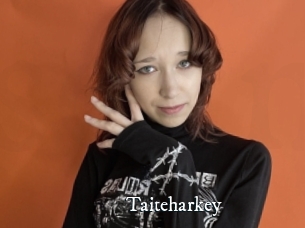 Taiteharkey