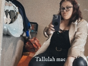 Tallulah_mae