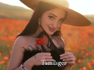 Tamilsgeo