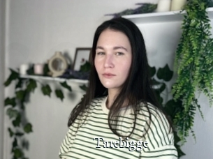 Tatebigge