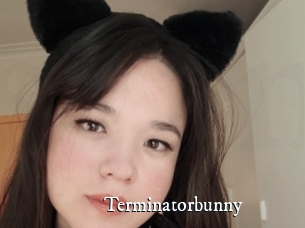 Terminatorbunny