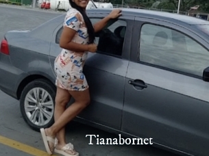 Tianabornet