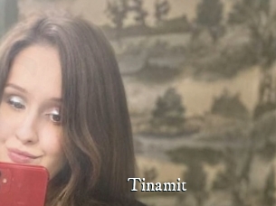 Tinamit