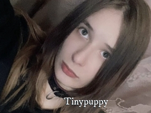 Tinypuppy