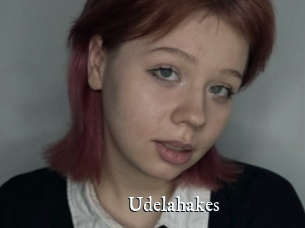 Udelahakes