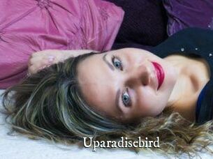 Uparadisebird