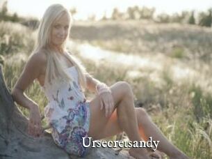 Ursecretsandy