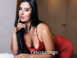 vanesaarango Sex Met