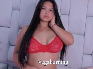 Vegaburning