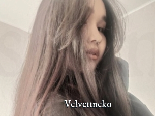 Velvettneko