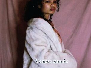 Venus2bunnie