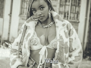 Wahu
