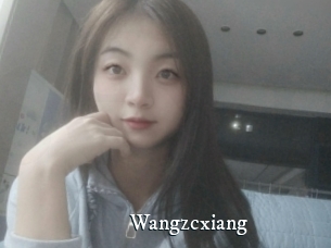 Wangzcxiang
