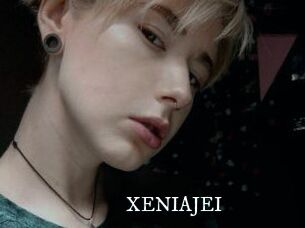 XENIA_JEI