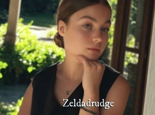 Zeldadrudge